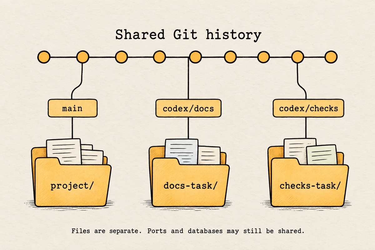 One shared Git history connects three parallel checkouts: project on main, docs-task on codex/docs, and checks-task on codex/checks.